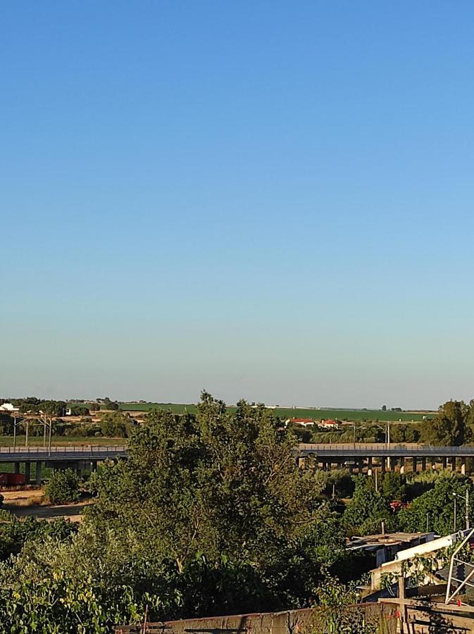 Mansao Alentejana Al Villa Alvalade Exteriör bild